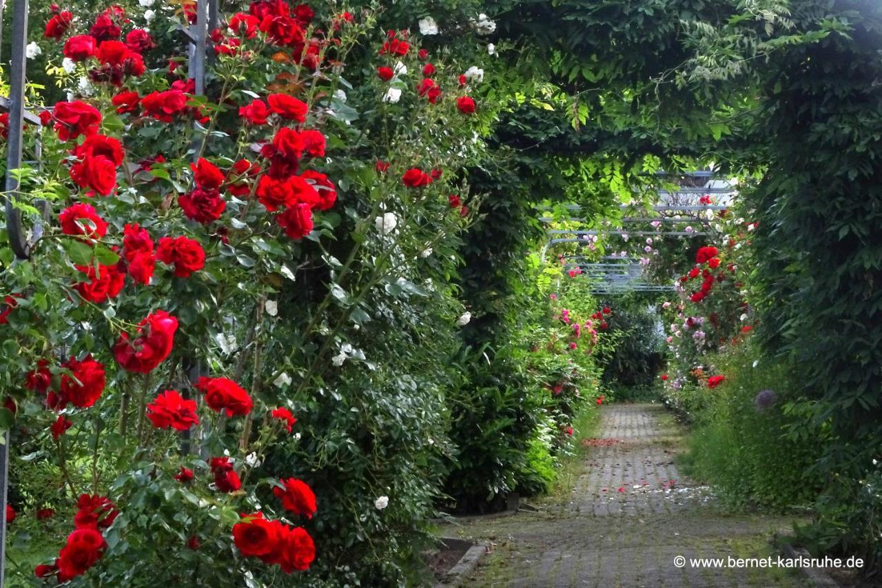 Kloster Maria Hilf บึล ภายนอก รูปภาพ
